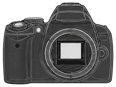 Nikon D40 Body front silhouette