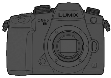 Panasonic LUMIX DC-GH5S Body front silhouette