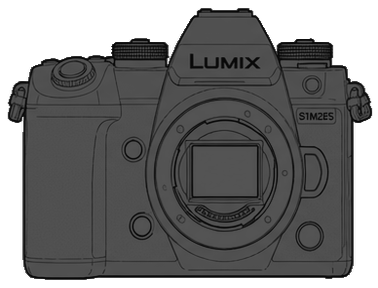 Panasonic LUMIX DC-S1M2ES Body front silhouette